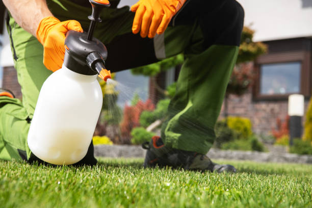 Best Bed Bug Extermination  in Oak Forest, IL