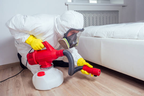 Best Mosquito Control Services  in Oak Forest, IL