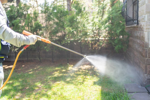 Best Flea Control Services  in Oak Forest, IL